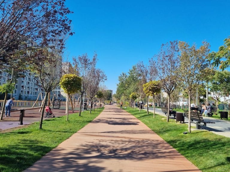 Zece lucruri bune care s-au întâmplat în 2023 în București