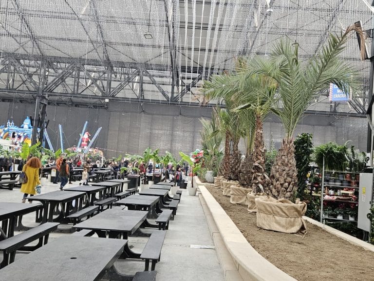 Revelionul la Hala Laminor. ISU București-Ilfov revine: Din perspectiva instituției noastre, activitatea se desfășoară cu nerespectarea prevederilor legale