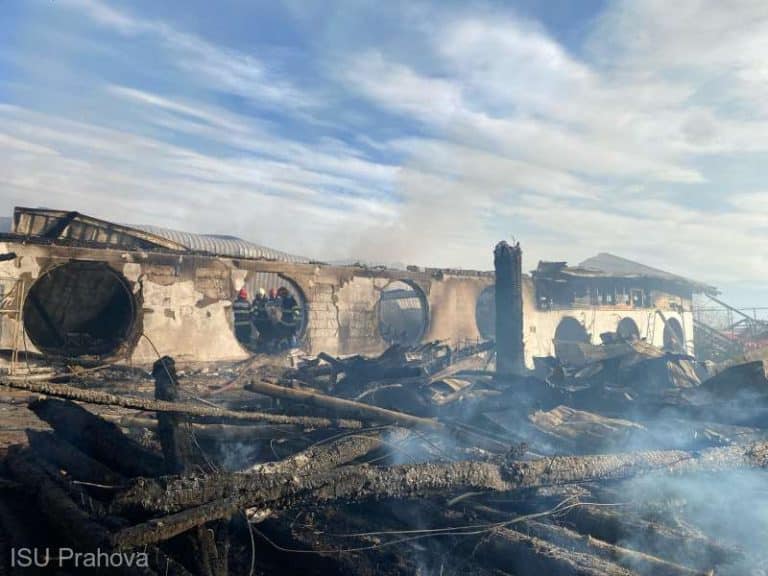 A fost identificată cea de-a opta victimă a incendiului de la Ferma Dacilor: Un copil de 11 ani – presă