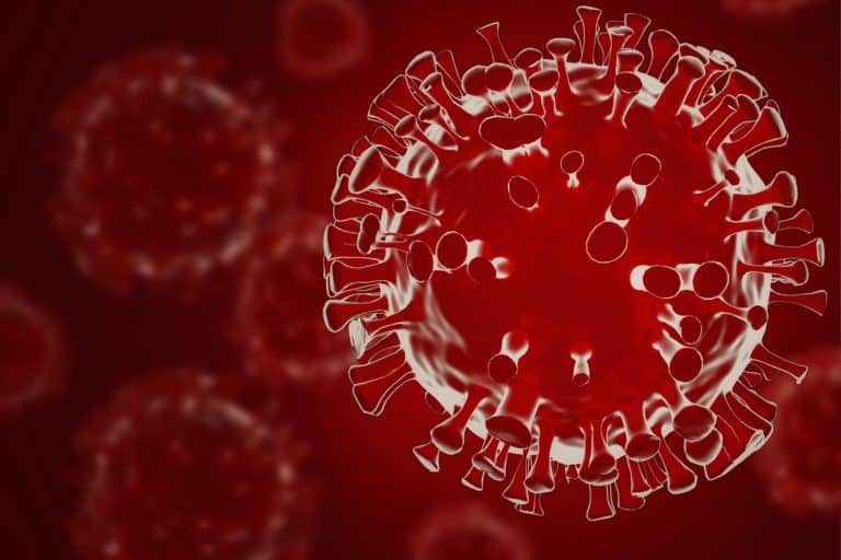 Un laborator chinez a cartografiat coronavirusul cu două săptămâni înainte de a-l anunța lumii