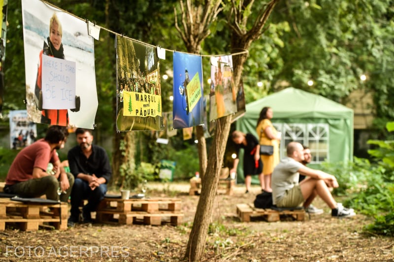 Decizie majoră a Curții de Justiție a Uniunii Europene pentru ONG-urile care apără în instanță spațiile verzi: Cheltuielile de judecată stabilite trebuie să fie rezonabile