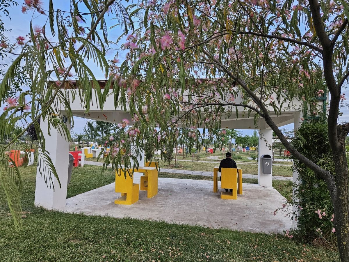 Cel mai relaxant cântec din lume