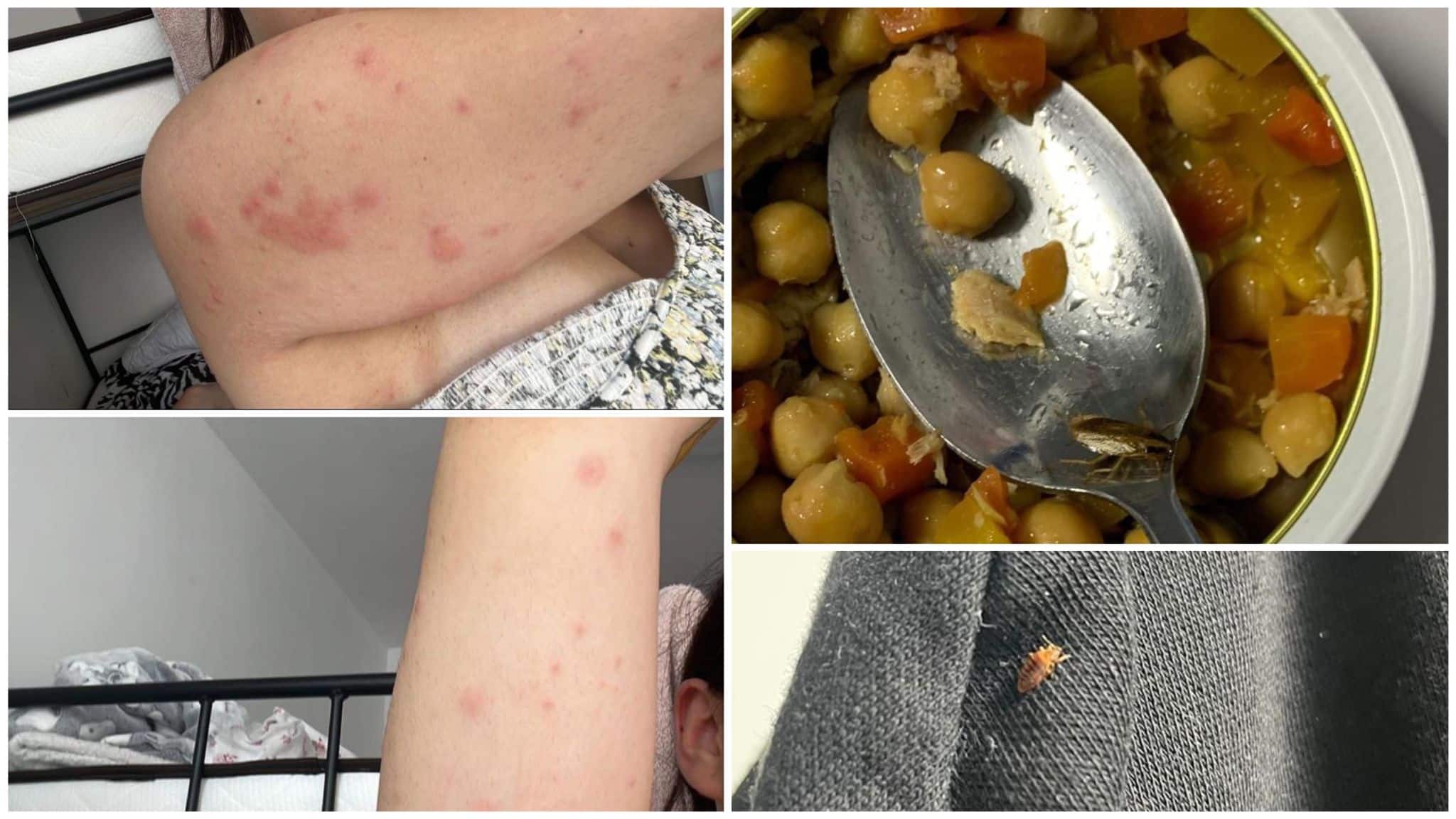 FOTO „Toată situația este tratată cu indiferență”. Studenții cazați într-un cămin din Grozăvești acuză că în camere sunt ploșnițe