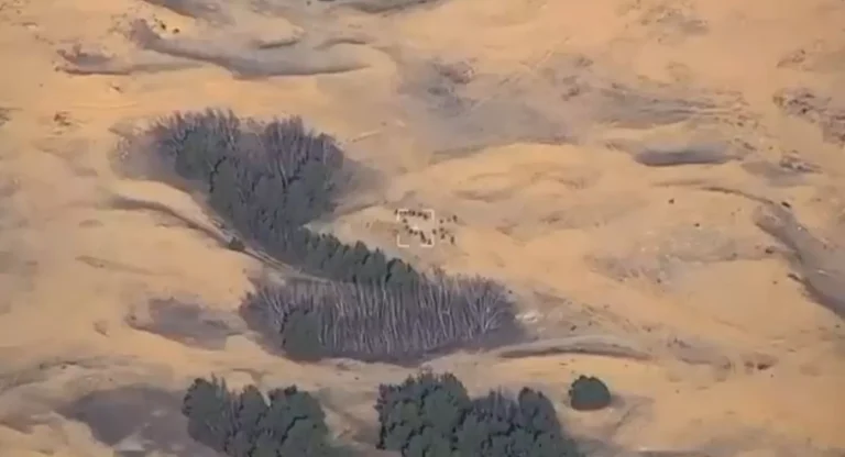 VIDEO „Omfg”: Trei grupuri de soldați ruși au fost spulberate de lovituri HIMARS cu muniții din tungsten