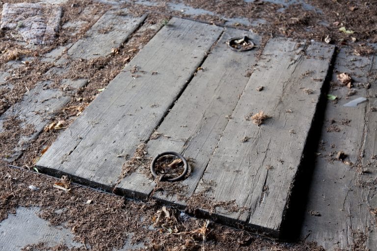 VIDEO Un bărbat a fost găsit în viață într-o pivniță la 26 de ani de la dispariția sa